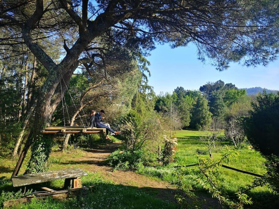 Pine Lodge - Direct Train To Porto Valongo  Ngoại thất bức ảnh