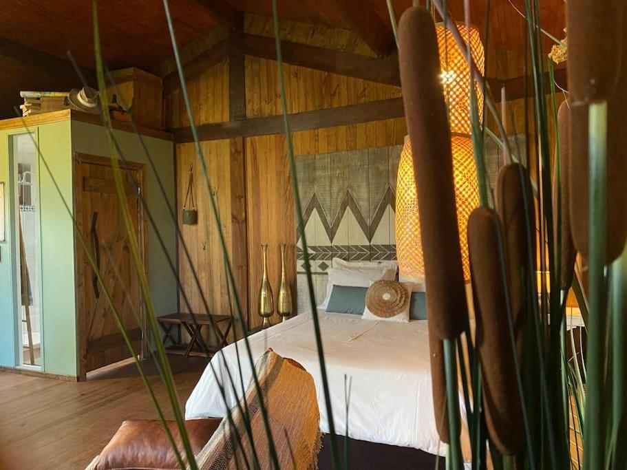 Pine Lodge - Direct Train To Porto Valongo  Ngoại thất bức ảnh