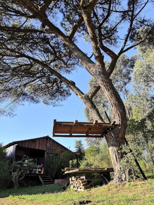 Pine Lodge - Direct Train To Porto Valongo  Ngoại thất bức ảnh